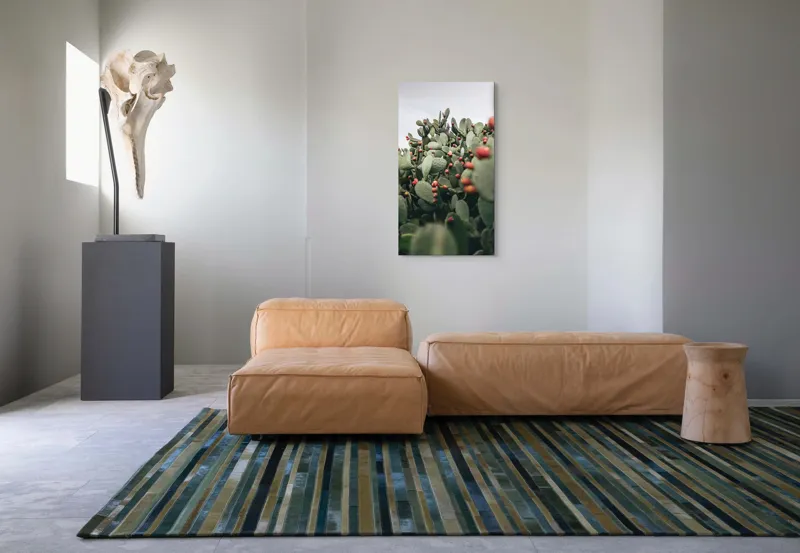 Tablou Canvas, "Oază de cactuși cu fructe colorate", Spini, Verde, Cactuși, Roșu, Fructe, Natură, Texturi, Pădure, Rugozitate, Ariditate, 50 x 90 cm – poza 5