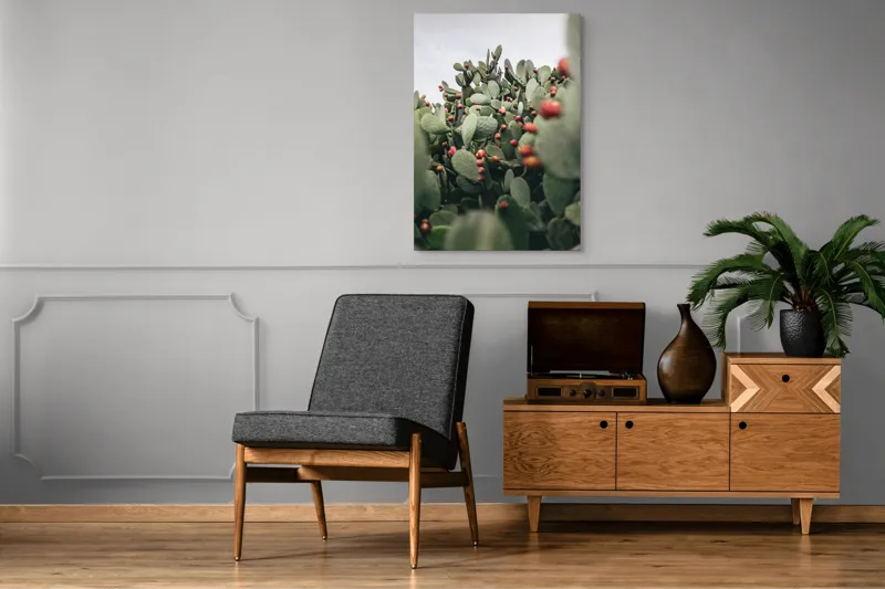 Tablou Canvas, "Oază de cactuși cu fructe colorate", Spini, Verde, Cactuși, Roșu, Fructe, Natură, Texturi, Pădure, Rugozitate, Ariditate, 70 x 100 cm – poza 6