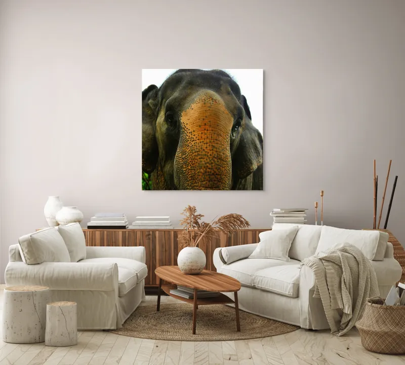 Tablou Canvas, "Un elefant în inima junglei", Elefant, Natural, Majestuos, Impresionant, Urechile, Riduri, Ochi, Verdeață, 100 x 100 cm – poza 3