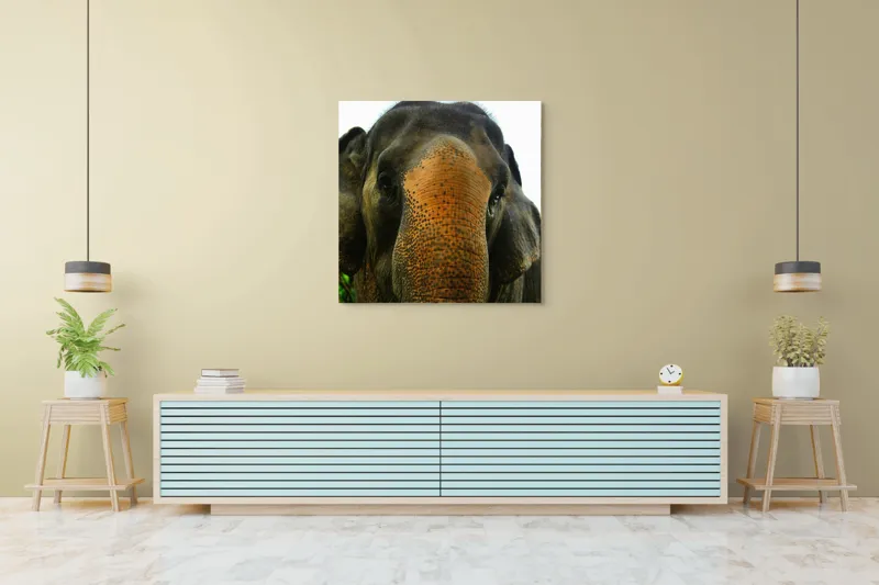 Tablou Canvas, "Un elefant în inima junglei", Elefant, Natural, Majestuos, Impresionant, Urechile, Riduri, Ochi, Verdeață, 100 x 100 cm – poza 5