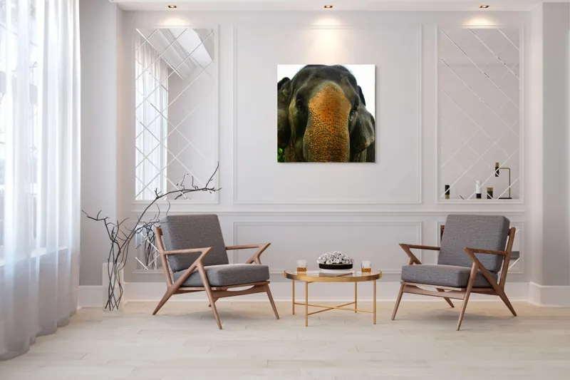 Tablou Canvas, "Un elefant în inima junglei", Elefant, Natural, Majestuos, Impresionant, Urechile, Riduri, Ochi, Verdeață, 100 x 100 cm – poza 7