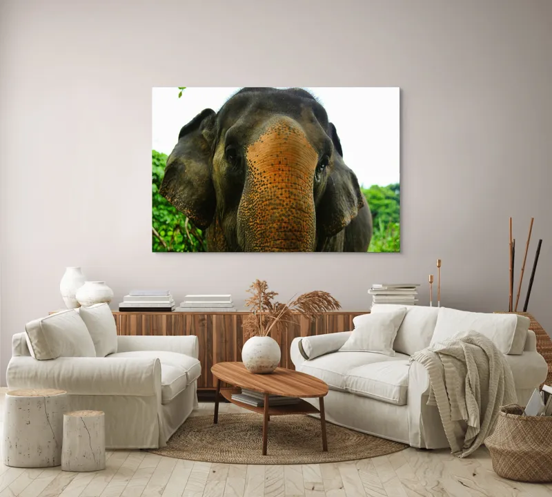 Tablou Canvas, "Un elefant în inima junglei", Elefant, Natural, Majestuos, Impresionant, Urechile, Riduri, Ochi, Verdeață, 150 x 100 cm – poza 3