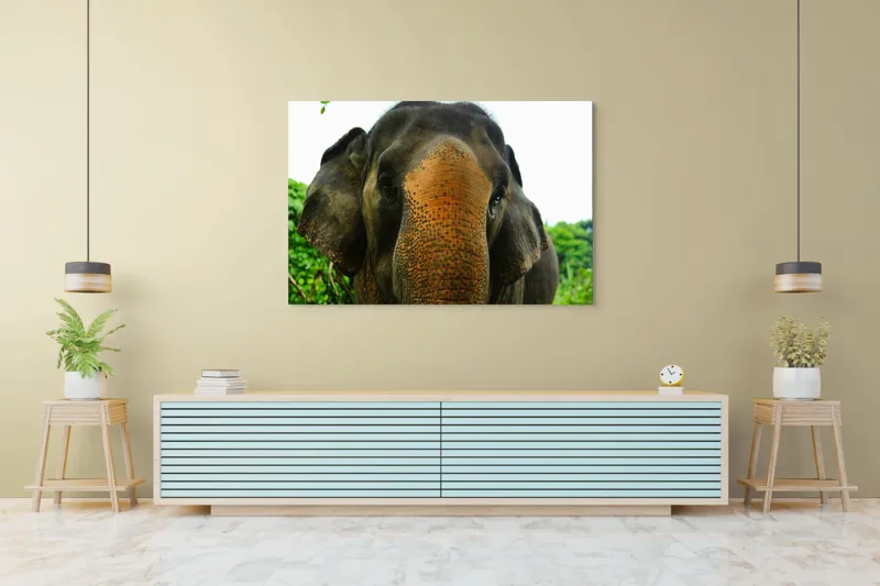 Tablou Canvas, "Un elefant în inima junglei", Elefant, Natural, Majestuos, Impresionant, Urechile, Riduri, Ochi, Verdeață, 150 x 100 cm – poza 6