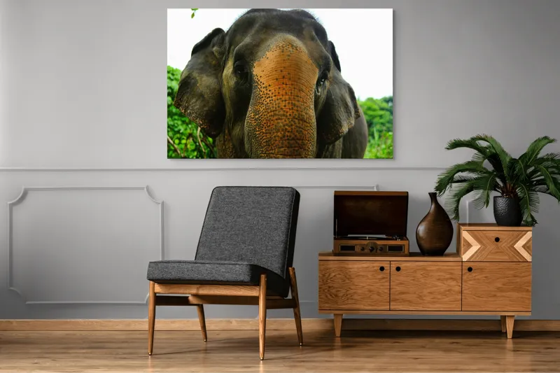Tablou Canvas, "Un elefant în inima junglei", Elefant, Natural, Majestuos, Impresionant, Urechile, Riduri, Ochi, Verdeață, 150 x 100 cm – poza 8