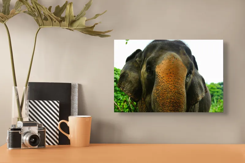 Tablou Canvas, "Un elefant în inima junglei", Elefant, Natural, Majestuos, Impresionant, Urechile, Riduri, Ochi, Verdeață, 39 x 26 cm – poza 3