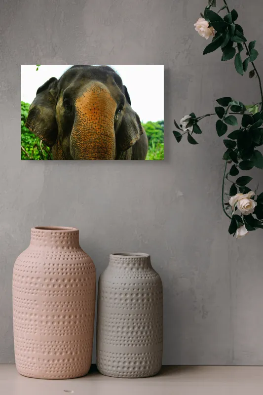 Tablou Canvas, "Un elefant în inima junglei", Elefant, Natural, Majestuos, Impresionant, Urechile, Riduri, Ochi, Verdeață, 39 x 26 cm – poza 4