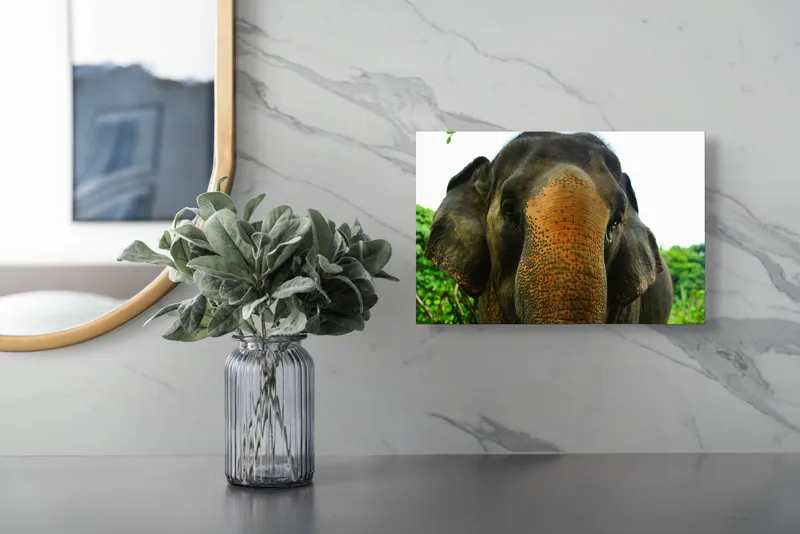 Tablou Canvas, "Un elefant în inima junglei", Elefant, Natural, Majestuos, Impresionant, Urechile, Riduri, Ochi, Verdeață, 39 x 26 cm – poza 5