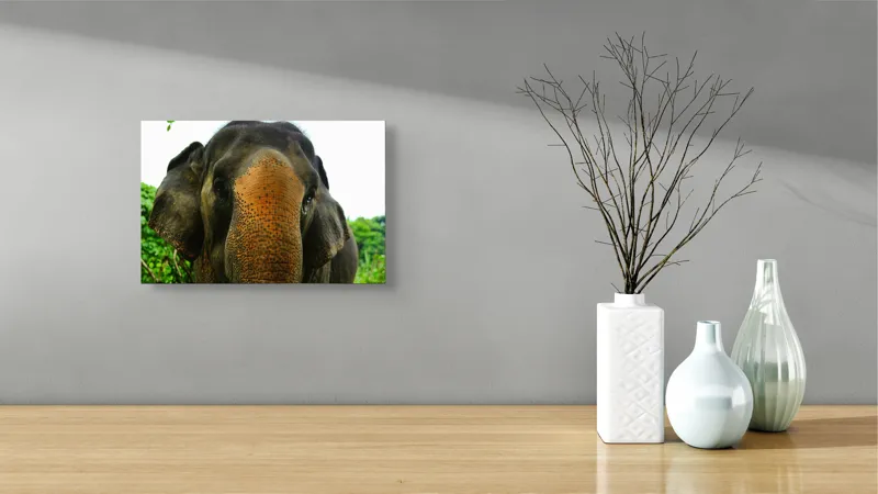Tablou Canvas, "Un elefant în inima junglei", Elefant, Natural, Majestuos, Impresionant, Urechile, Riduri, Ochi, Verdeață, 39 x 26 cm – poza 8