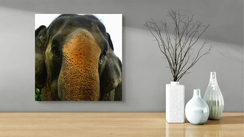 Tablou Canvas, "Un elefant în inima junglei", Elefant, Natural, Majestuos, Impresionant, Urechile, Riduri, Ochi, Verdeață, 50 x 50 cm – poza 3