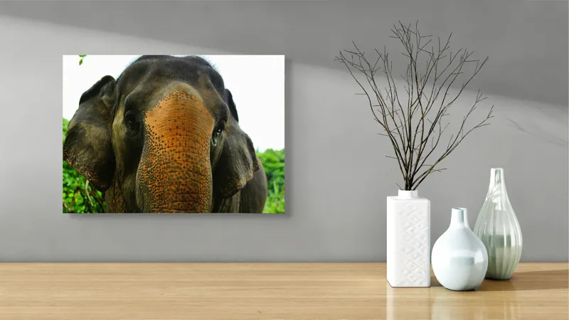 Tablou Canvas, "Un elefant în inima junglei", Elefant, Natural, Majestuos, Impresionant, Urechile, Riduri, Ochi, Verdeață, 54 x 39 cm – poza 3