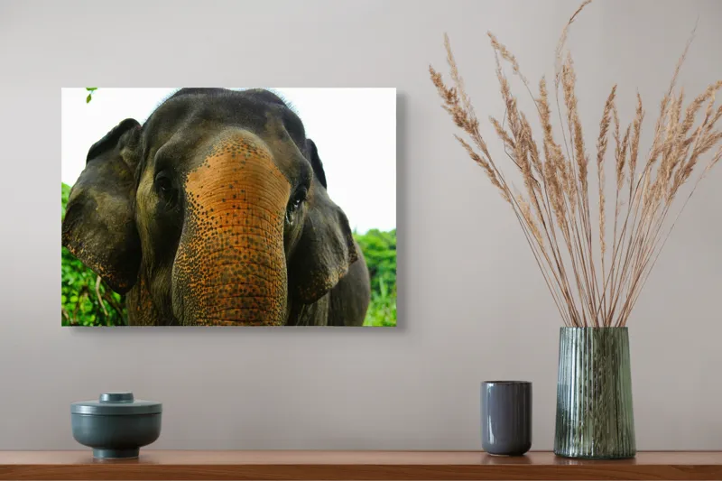 Tablou Canvas, "Un elefant în inima junglei", Elefant, Natural, Majestuos, Impresionant, Urechile, Riduri, Ochi, Verdeață, 54 x 39 cm – poza 4