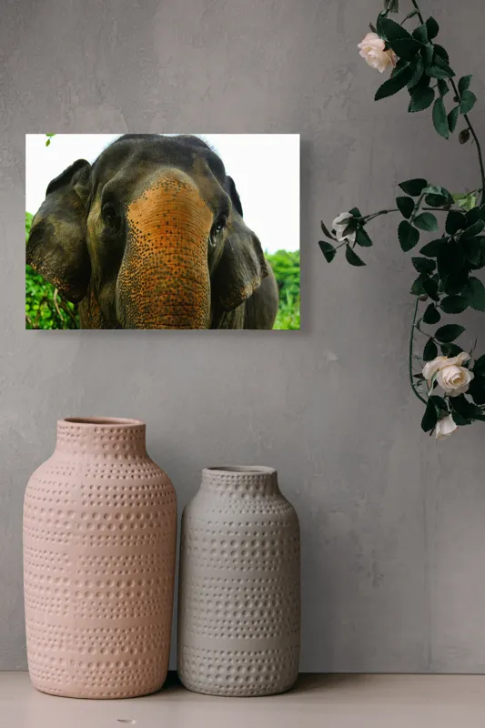 Tablou Canvas, "Un elefant în inima junglei", Elefant, Natural, Majestuos, Impresionant, Urechile, Riduri, Ochi, Verdeață, 54 x 39 cm – poza 8