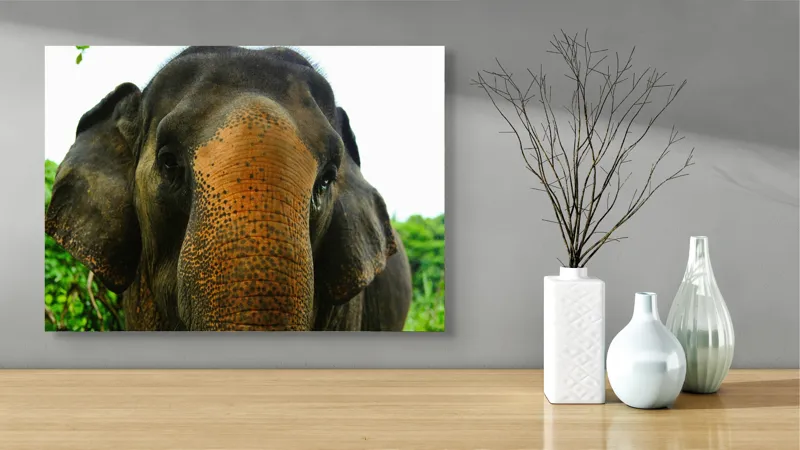 Tablou Canvas, "Un elefant în inima junglei", Elefant, Natural, Majestuos, Impresionant, Urechile, Riduri, Ochi, Verdeață, 70 x 50 cm – poza 3