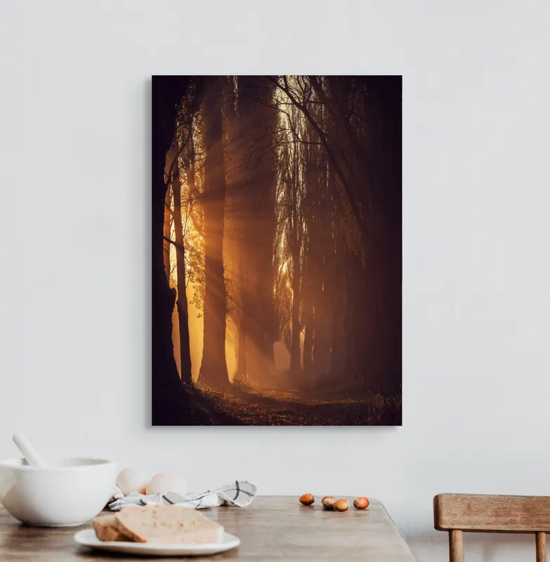 Tablou Canvas, "Raze de soare printre copaci înalți", Auriu, Mister, Pădure, Luminiș, Umbre, Tranquilitate, Apus, Copaci, Frunziș, Întuneric., 50 x 70 cm – poza 3
