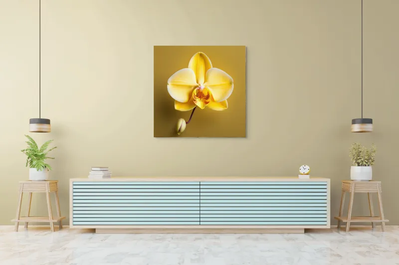 Tablou Canvas, "Orhidee galbenă pe fundal auriu", Floare, Galben, Orhidee, Delicat, Natură, Eleganță, Contrast, Petale, Simetrie, Boboc., 100 x 100 cm – poza 5