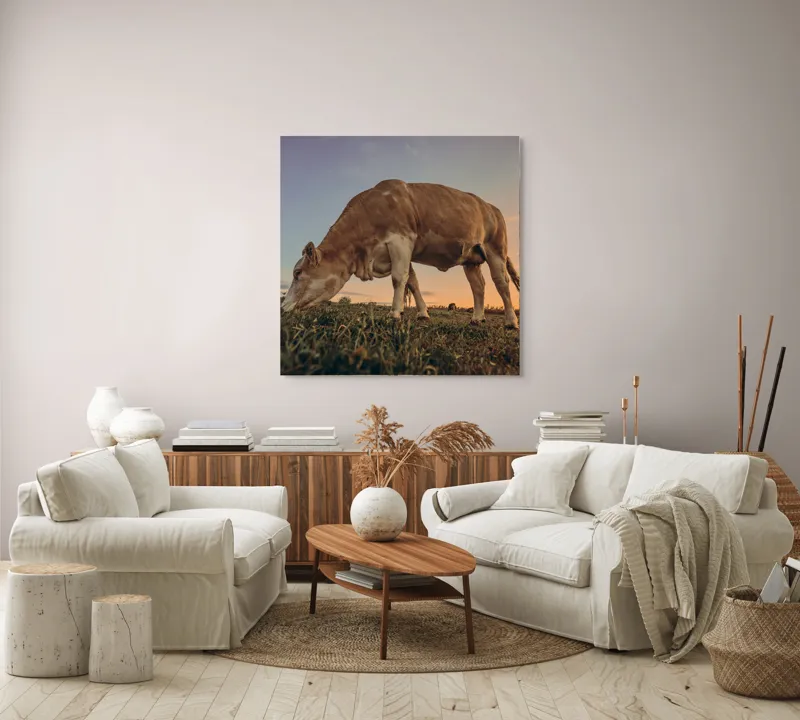 Tablou Canvas, "Vaca pășunând la apusul soarelui", Vacă, Apus, Iarbă, Fermă, Cer, Natură, Peisaj., 100 x 100 cm – poza 3