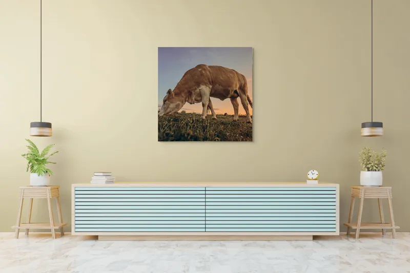 Tablou Canvas, "Vaca pășunând la apusul soarelui", Vacă, Apus, Iarbă, Fermă, Cer, Natură, Peisaj., 100 x 100 cm – poza 5