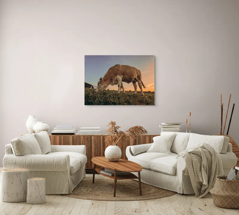 Tablou Canvas, "Vaca pășunând la apusul soarelui", Vacă, Apus, Iarbă, Fermă, Cer, Natură, Peisaj., 100 x 70 cm – poza 3