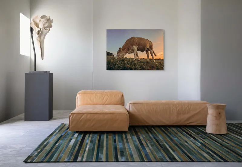 Tablou Canvas, "Vaca pășunând la apusul soarelui", Vacă, Apus, Iarbă, Fermă, Cer, Natură, Peisaj., 100 x 70 cm – poza 7