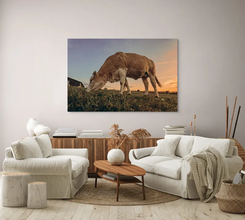 Tablou Canvas, "Vaca pășunând la apusul soarelui", Vacă, Apus, Iarbă, Fermă, Cer, Natură, Peisaj., 150 x 100 cm – poza 3