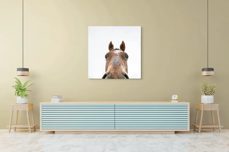 Tablou Canvas, "Calul privind spre cer senin", Nu pot identifica cine este în imagine., 100 x 100 cm – poza 5