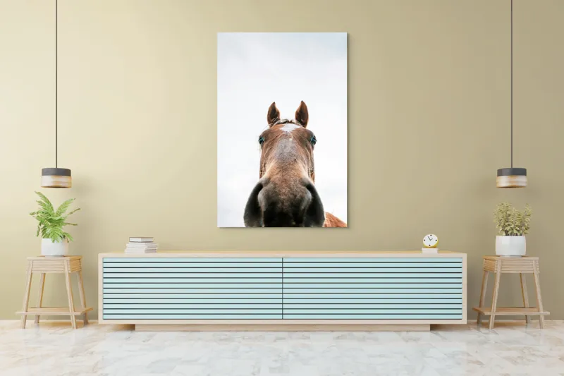 Tablou Canvas, "Calul privind spre cer senin", Nu pot identifica cine este în imagine., 100 x 150 cm – poza 4