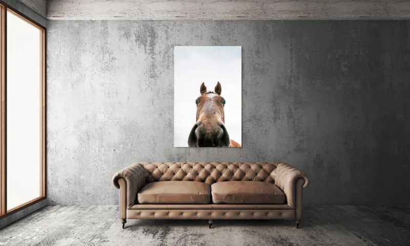 Tablou Canvas, "Calul privind spre cer senin", Nu pot identifica cine este în imagine., 100 x 150 cm – poza 6