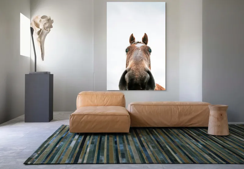 Tablou Canvas, "Calul privind spre cer senin", Nu pot identifica cine este în imagine., 100 x 150 cm – poza 7