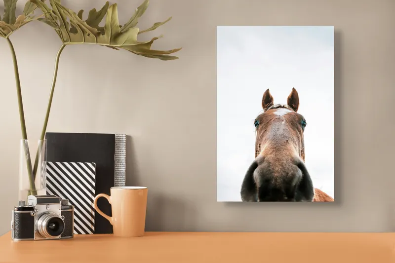 Tablou Canvas, "Calul privind spre cer senin", Nu pot identifica cine este în imagine., 26 x 39 cm – poza 3