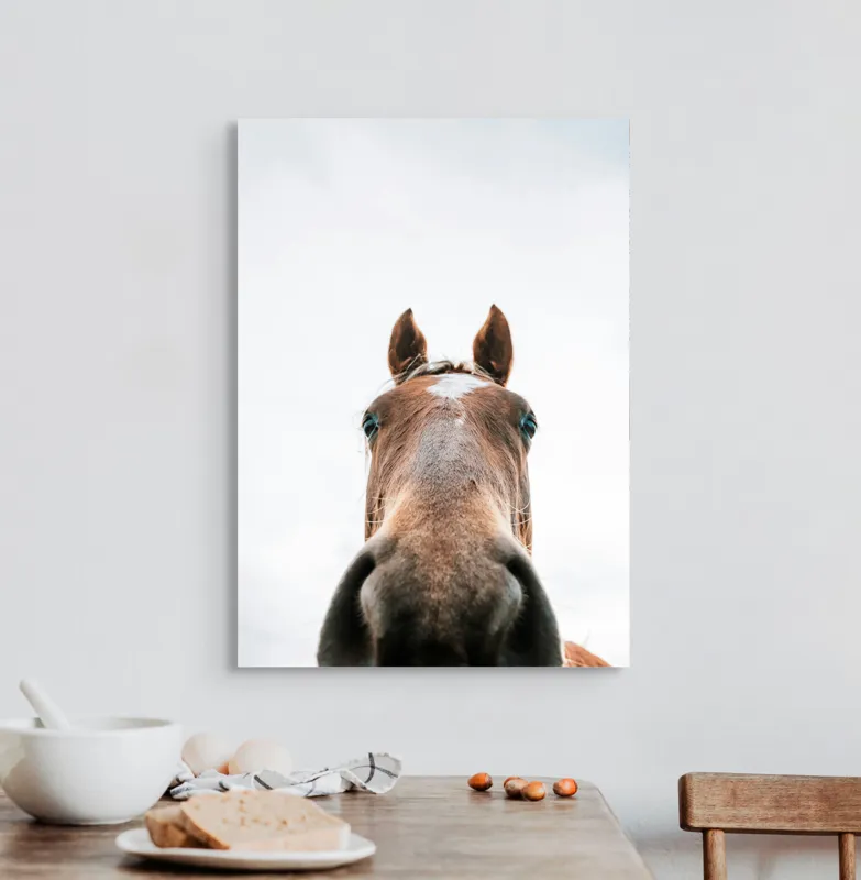Tablou Canvas, "Calul privind spre cer senin", Nu pot identifica cine este în imagine., 50 x 70 cm – poza 3