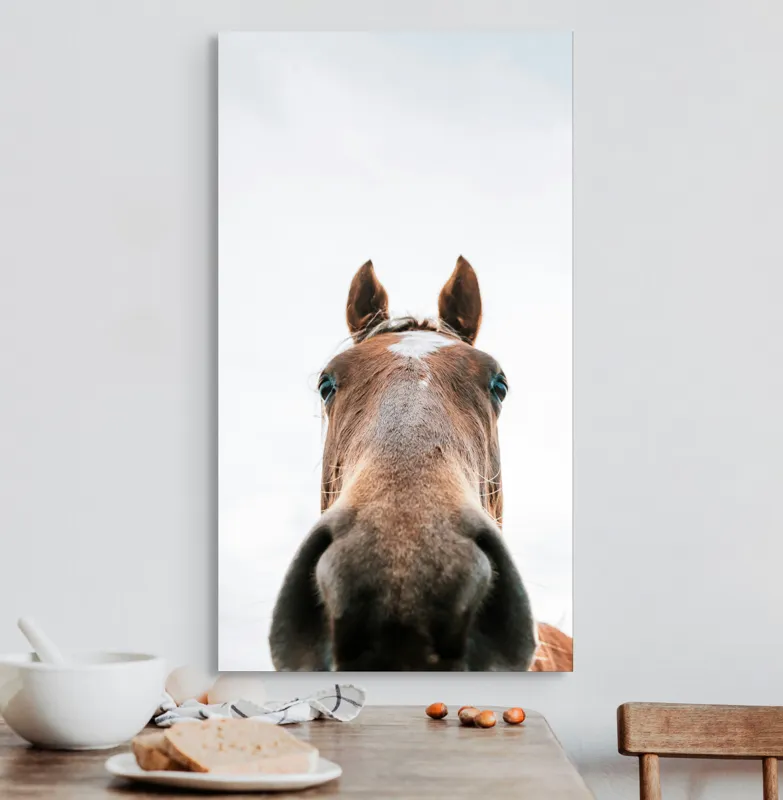 Tablou Canvas, "Calul privind spre cer senin", Nu pot identifica cine este în imagine., 50 x 90 cm – poza 3