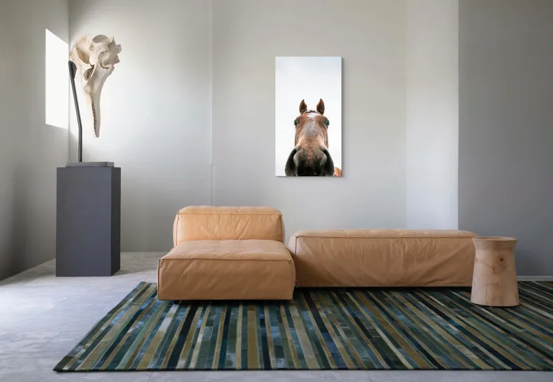 Tablou Canvas, "Calul privind spre cer senin", Nu pot identifica cine este în imagine., 50 x 90 cm – poza 5