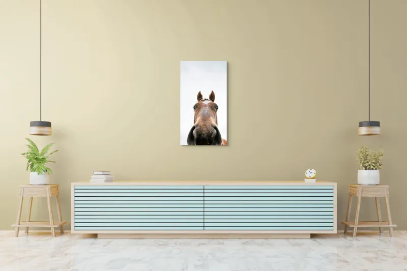 Tablou Canvas, "Calul privind spre cer senin", Nu pot identifica cine este în imagine., 50 x 90 cm – poza 6