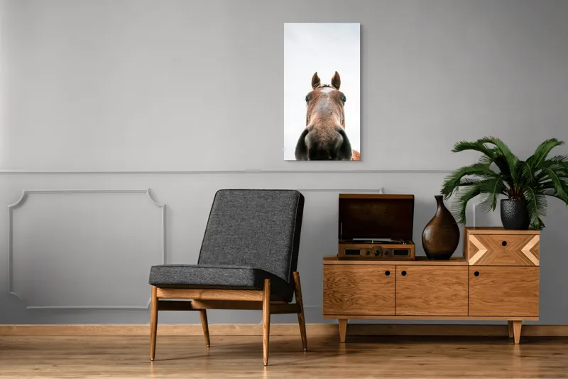 Tablou Canvas, "Calul privind spre cer senin", Nu pot identifica cine este în imagine., 50 x 90 cm – poza 8