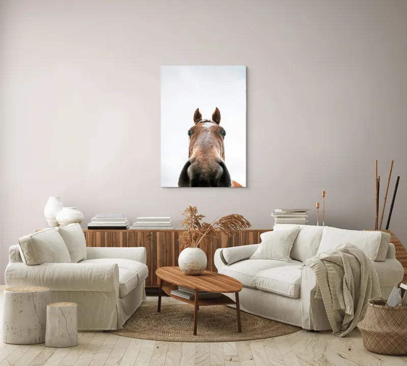 Tablou Canvas, "Calul privind spre cer senin", Nu pot identifica cine este în imagine., 70 x 100 cm – poza 4