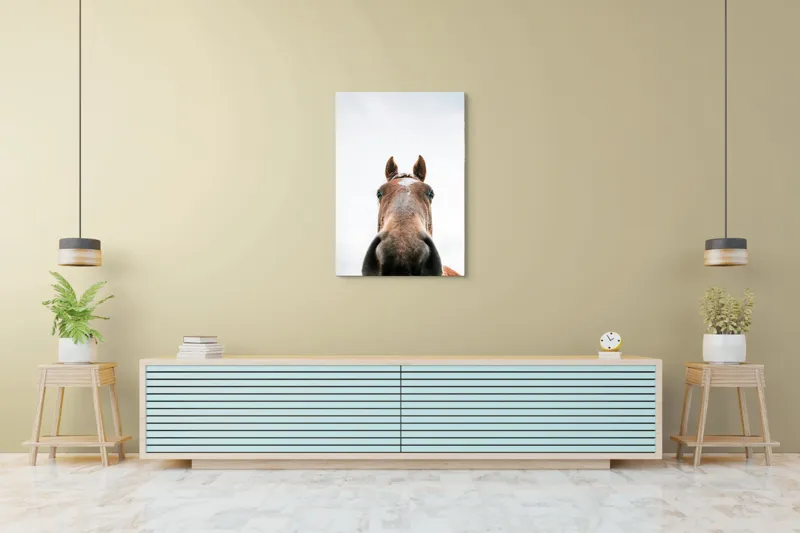 Tablou Canvas, "Calul privind spre cer senin", Nu pot identifica cine este în imagine., 70 x 100 cm – poza 5