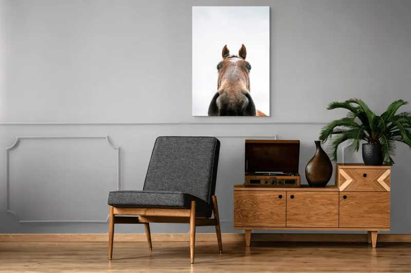 Tablou Canvas, "Calul privind spre cer senin", Nu pot identifica cine este în imagine., 70 x 100 cm – poza 6
