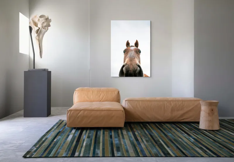 Tablou Canvas, "Calul privind spre cer senin", Nu pot identifica cine este în imagine., 70 x 100 cm – poza 7