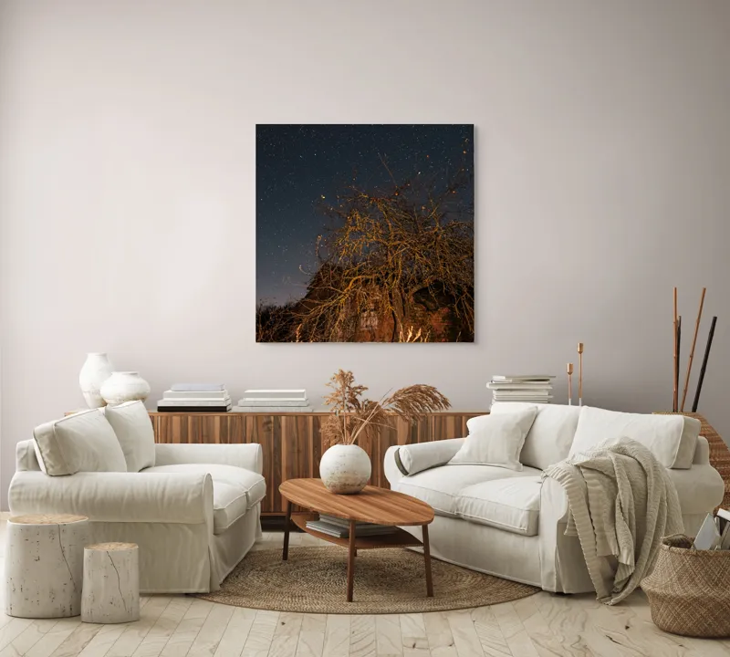 Tablou Canvas, "Stele deasupra unui copac uscat", Cer, Stele, Copac, Noapte, Clădire, Rămășițe, Tăcere, Mister, Natură, Frumusețe, 100 x 100 cm – poza 3