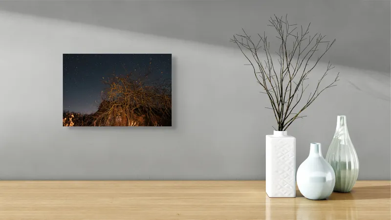Tablou Canvas, "Stele deasupra unui copac uscat", Cer, Stele, Copac, Noapte, Clădire, Rămășițe, Tăcere, Mister, Natură, Frumusețe, 39 x 26 cm – poza 8