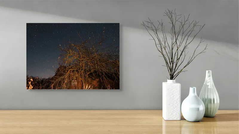 Tablou Canvas, "Stele deasupra unui copac uscat", Cer, Stele, Copac, Noapte, Clădire, Rămășițe, Tăcere, Mister, Natură, Frumusețe, 54 x 39 cm – poza 3