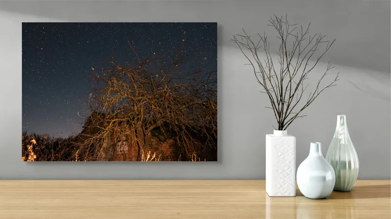 Tablou Canvas, "Stele deasupra unui copac uscat", Cer, Stele, Copac, Noapte, Clădire, Rămășițe, Tăcere, Mister, Natură, Frumusețe, 70 x 50 cm – poza 3