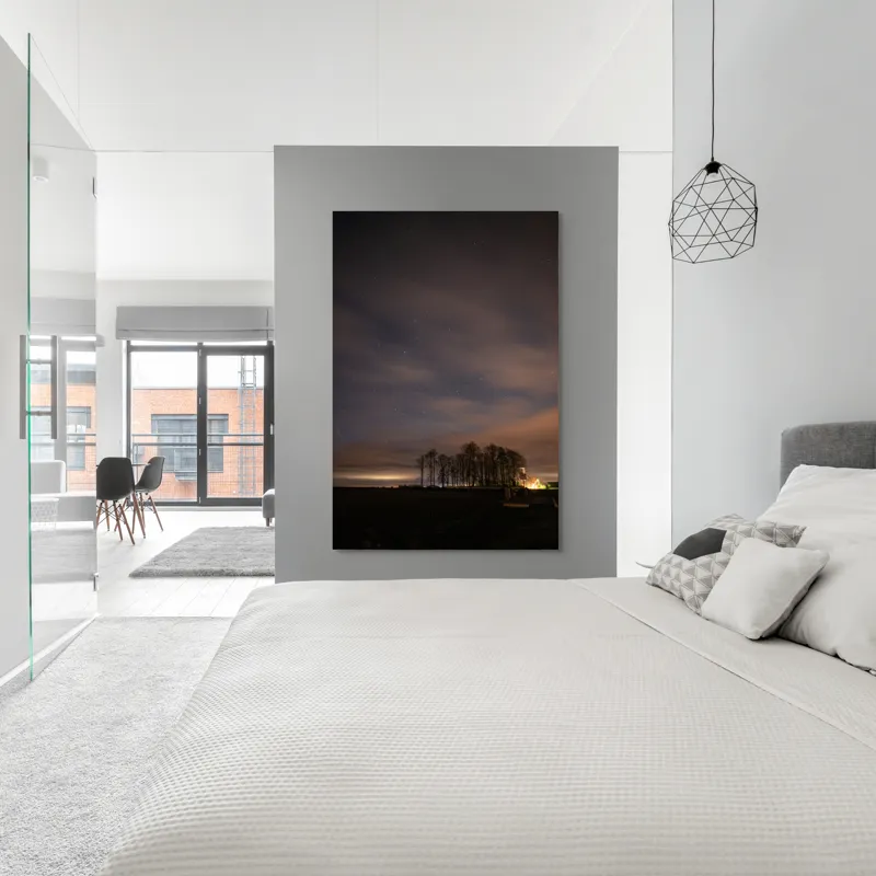 Tablou Canvas, "Cerul înstelat peste pădurea tăcută", Stele, Nori, Copaci, Cer, Noapte, Orizont, Lumină, Natură, Siluetă, Frumusețe, 100 x 150 cm – poza 5