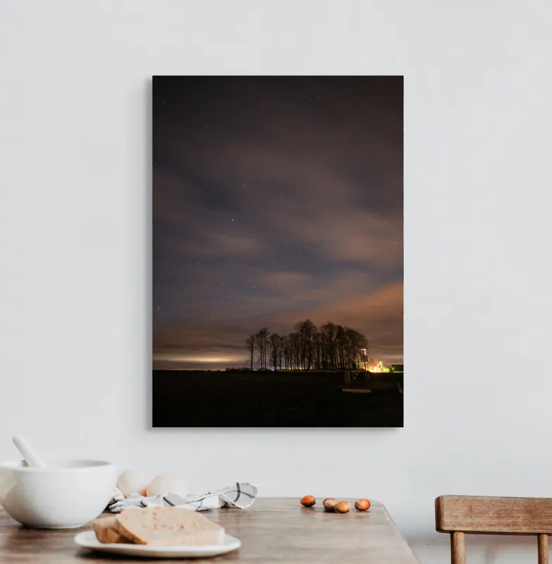 Tablou Canvas, "Cerul înstelat peste pădurea tăcută", Stele, Nori, Copaci, Cer, Noapte, Orizont, Lumină, Natură, Siluetă, Frumusețe, 50 x 70 cm – poza 3