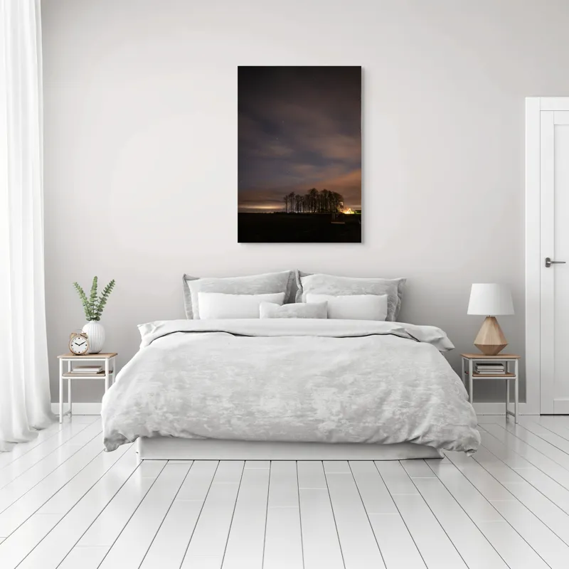 Tablou Canvas, "Cerul înstelat peste pădurea tăcută", Stele, Nori, Copaci, Cer, Noapte, Orizont, Lumină, Natură, Siluetă, Frumusețe, 70 x 100 cm – poza 3