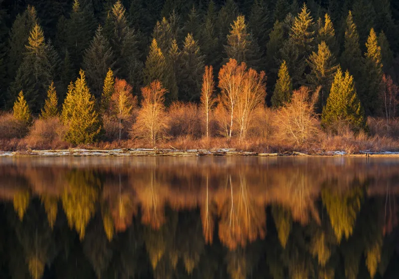 Tablou Canvas, "Lumina aurie în pădurea adormită", Reflecție, Pădure, Lac, Copaci, Toamnă, Apus, Lumină, Frumusețe, Natură, Serenitate, 100 x 70 cm – poza 2