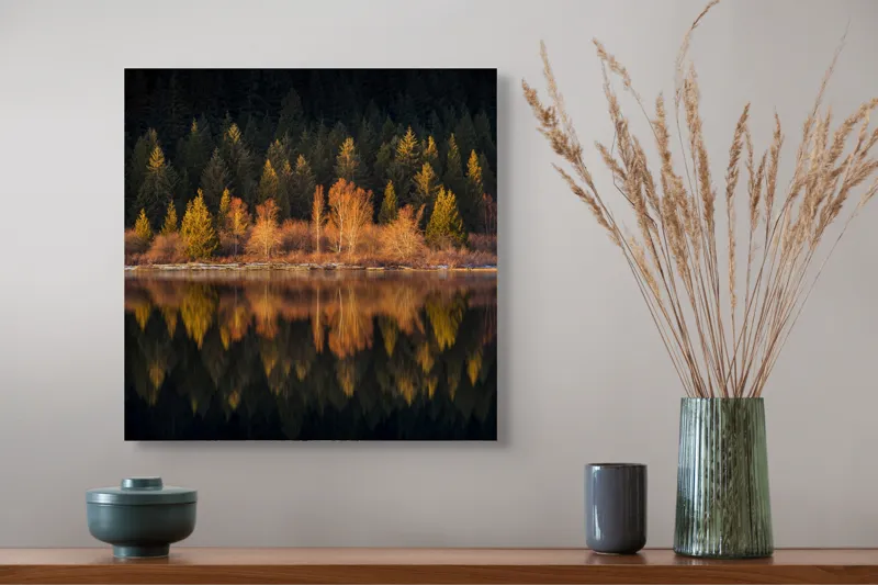 Tablou Canvas, "Lumina aurie în pădurea adormită", Reflecție, Pădure, Lac, Copaci, Toamnă, Apus, Lumină, Frumusețe, Natură, Serenitate, 50 x 50 cm – poza 4