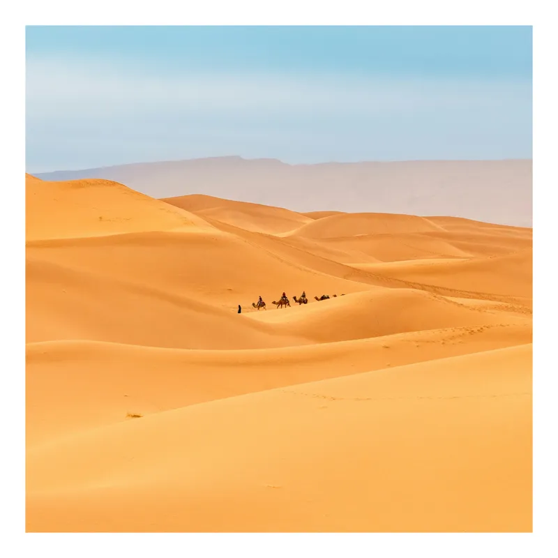 Tablou Canvas, "Caravană de cămile în deșert", Dune, Cămile, Aurii, Albastru, Orizont, Deșert, Nisip, Peisaj, Cer, Valuri, 70 x 100 cm