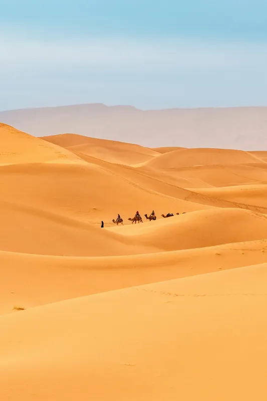 Tablou Canvas, "Caravană de cămile în deșert", Dune, Cămile, Aurii, Albastru, Orizont, Deșert, Nisip, Peisaj, Cer, Valuri, 100 x 150 cm – poza 2