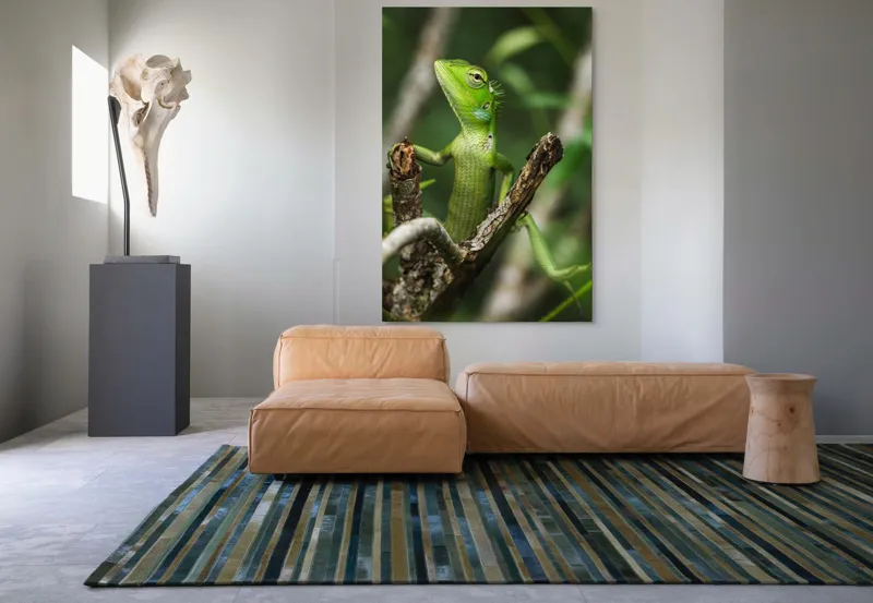 Tablou Canvas, "Șopârla verde printre crengi uscate", Șopârlă, Verde, Creangă, Natură, Frunze, Privire, Solzi, Ramură, Vârf, Ochi, Detaliu, Observare, 100 x 150 cm – poza 7